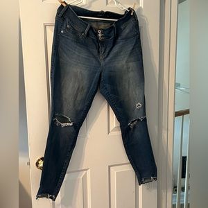 Torrid Premium Jegging